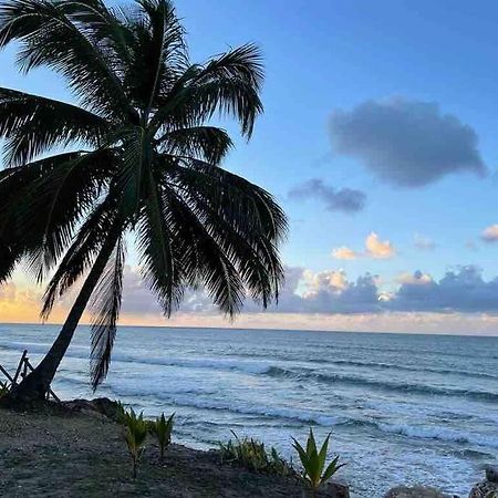 My Dream Beach House أغوادا المظهر الخارجي الصورة