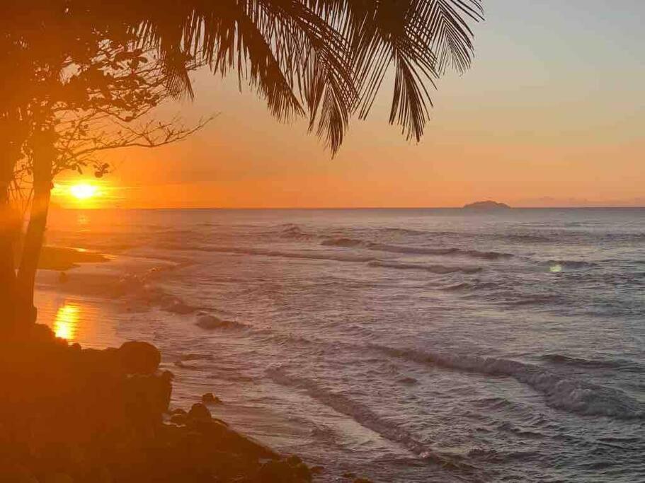 My Dream Beach House أغوادا المظهر الخارجي الصورة